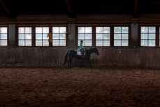 man riding on horse in front of window