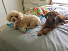 18920416_10158750844855082_1751101284821828600_n